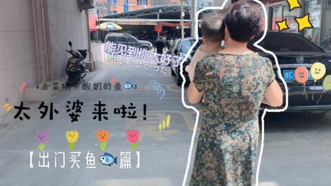 网红95宝妈,揭秘网红育儿生活背后的真实故事